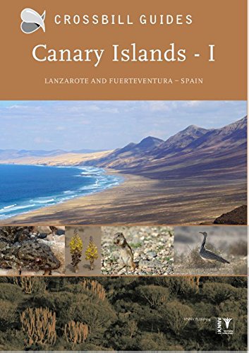 Canary Islands: Vol. 1: Fuerteventura and Lanzarote - Spain