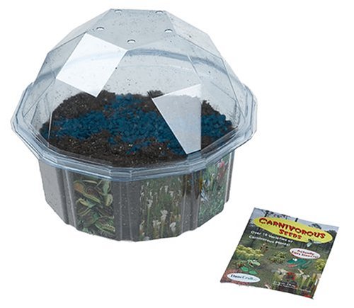 Educraft - Kit per Coltivare Piante Carnivore