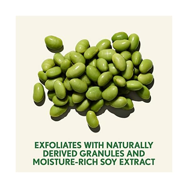 Aveeno Positively Radiant Exfoliating Facial Scrub, Brightening Face Scrub with Soy Extract to Visibly Improve Skin Tone and Texture, Oil-Free, Soap-Free, Hypoallergenic Formula, 5 FL OZ