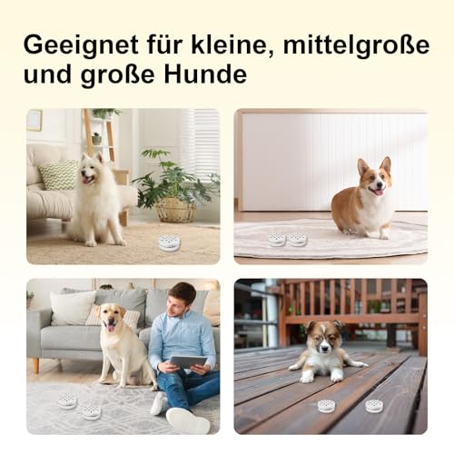Billowvolve 10 Stück Runde Hundeduft-Trainingsbox Geruchstrainingsdosen für Hunde Training Geruchsbehälte Dose Metalldosen mit Belüftungslöchern Geruchsfähig Trainingsgeräte