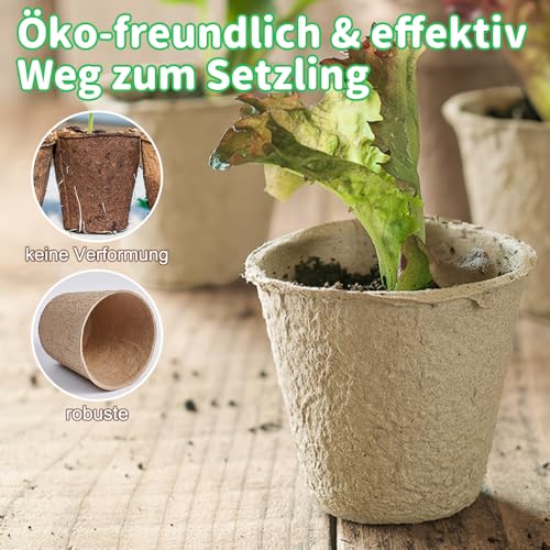 Aileem 40 Stück Anzuchttöpfe, Ø 8cm Biologisch Abbaubare Pflanztöpfe mit 40pcs Kunststoffetiketten und Umpflanzen Digging Tools, Pflanze Blume Seed Tray Pots Kits, Garten