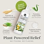 Puriya Tea Tree Clarifying Shampoo. Plant Rich Dry Itchy Scalp Relief, for Kids, Adults, Sulfate Free, No Harsh Chemicals Seen in Dandruff Treatment, Seborrheic Dermatitis, Psoriasis Shampoo, 16 oz - Image 5
