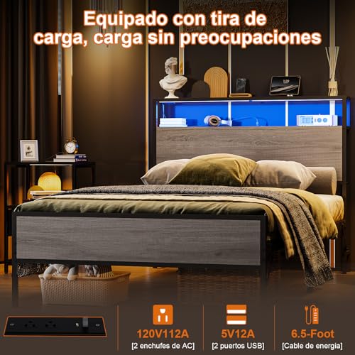 Recopilación de Box Individual para comprar hoy. 24 Imagen adicional