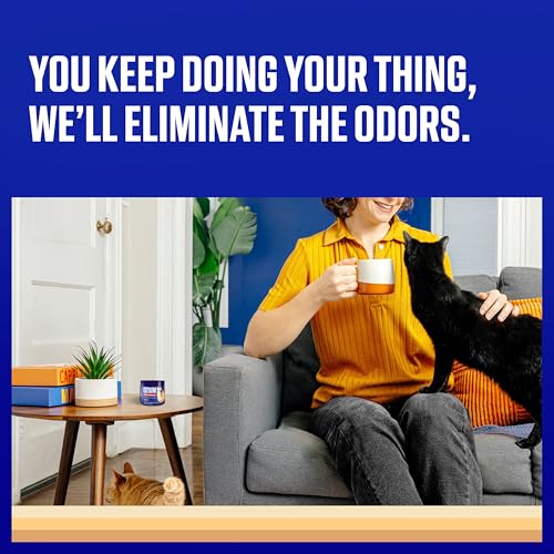 Image of Ozium Odor Eliminating Gel - 4.5oz Air Freshener Alternative for Smoke, Pets, and Musty Odors - Long Lasting Odor Remover for Cars, Homes, Closets and Small Spaces - Vanilla