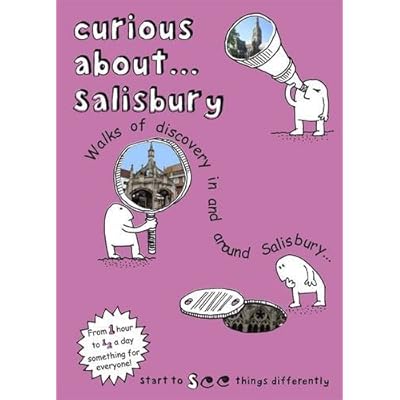 Curious About... Salisbury 2017
