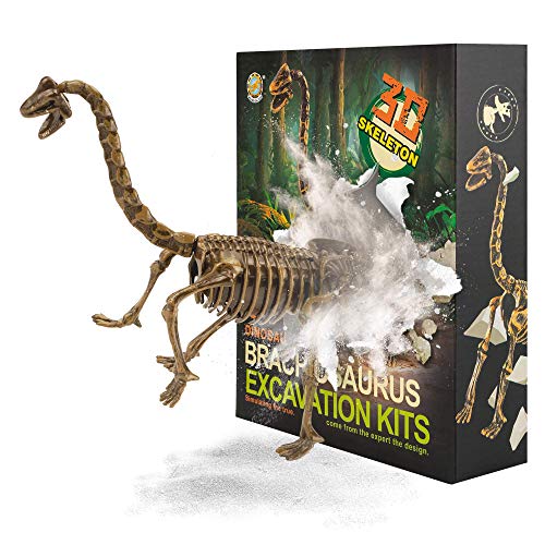 JamBer Braquiosaurio Juego de Dinosaurios Juguetes Fósiles de Excavación Modelo de Dinosaurio para Niños Niñas