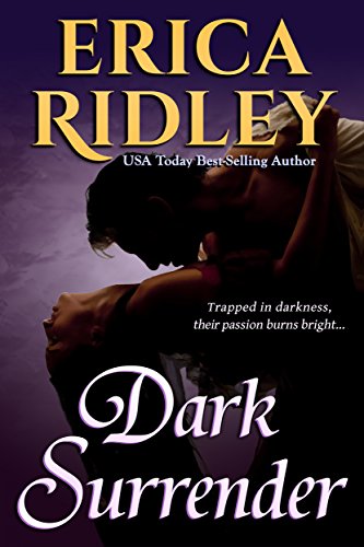 Bargain eBook - Dark Surrender