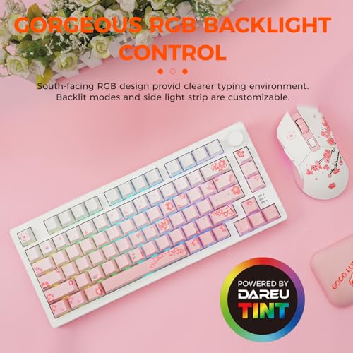 Mechanical Keyboard Wireless Hot-Swappable