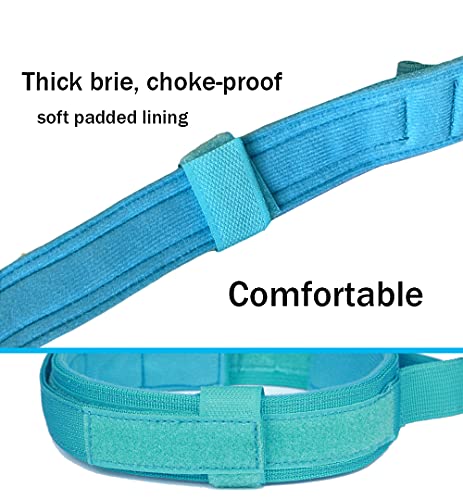 Image of Tactical Military Dog Collar - Adjustable Nylon, Heavy Duty Metal Buckle With Handle for Training (Blue, S)