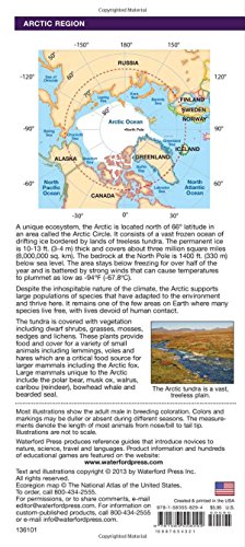 Arctic Wildlife: A Folding Pocket Guide to Familiar Animals & Plants of the Arctic and Subarctic Regions (Nature Observation International) - Image 2