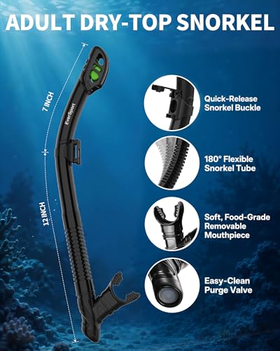Set de Snorkel para Adultos EverSport con Máscara de Vista Panorámica 180° y Tubo Seco Antifugas miniatura 5