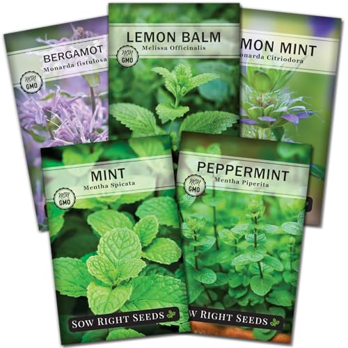 Sow Right Seeds - Mint Garden Seed Collection - Non-GMO Heirloom Herb Seeds for Planting - Common Mint Lemon Balm Peppermint Lemon Bergamot- Easy to Grow Aromatic - Ideal for Beginners