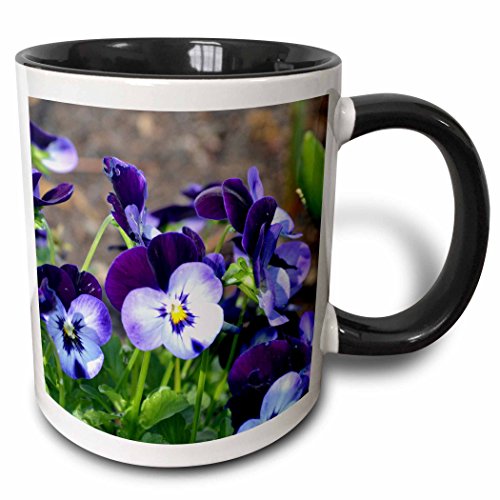 3dRose mug_51789_4"A batch of purple pansies" Two Tone Black Mug, 11 oz, Multicolor