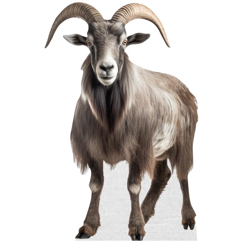Goat - Life Size Cardboard Cutout Standup People with Support Standee | Animals -