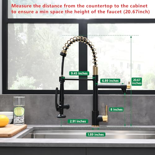 Image of Fapully Black&Gold Kitchen Faucet with Sprayer,Commercial Pull Down