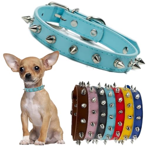 Collier à pointes pour chien et chat clouté durable bleu L - 2