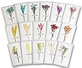 Handmade Real Flower Greeting Cards For All Occasions With Envelopes, Great For Personalized...