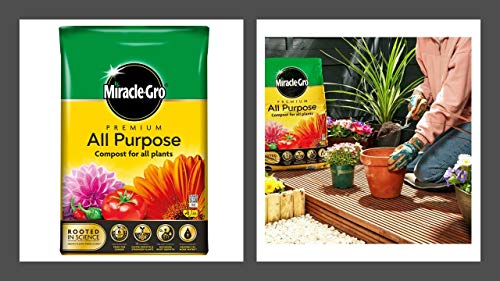 Miracle-Gro All Purpose Enriched Compost 40L - Image 3