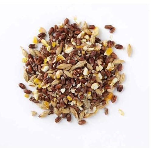 Wiggly Wigglers Mixed Corn Seeds | Bird Food Natural Feed Mix For Ducks Pheasants Doves Hens & Moorhens (12.55Kg Pack of 4)
