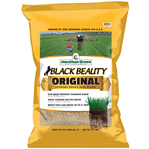 Top 10 Best Jonathan Green Grass Seed Reviews & Buying Guide Katynel