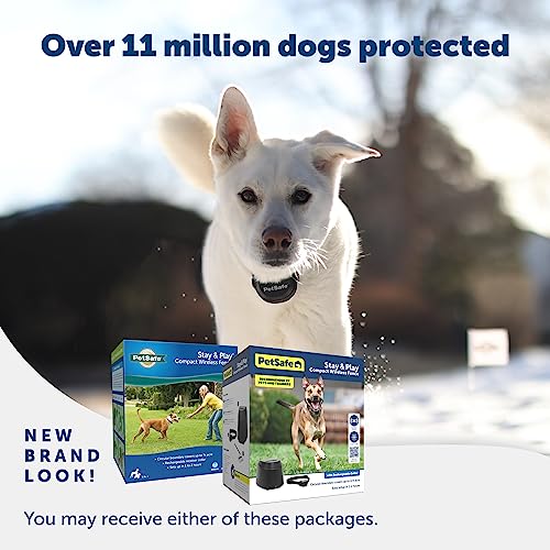 The 25 Best Wireless Electric Dog Fences of 2024 [Verified] Cherry Picks