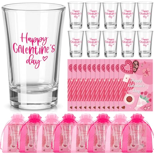 Gandeer 12 Sets Happy Galentine's Day Shot Glasses Gifts Bulk 1.2 oz Plastic Clear Wine Shot Glasses Valentines Mini Acrylic Drinking Cups for Women Girls Friends Galentine's Day Party Favors