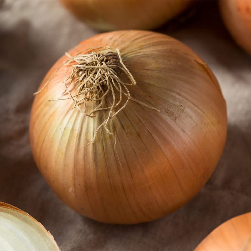 Vista 3 de Onion-Texas Early Grano 502 (250 semillas)