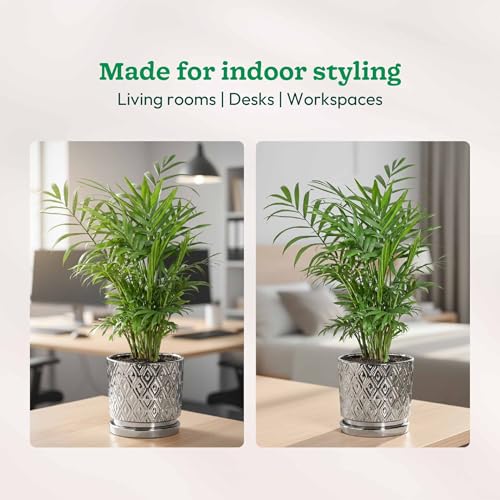 Image of UGAOO Peacock Ceramic Pot - 5 Inch | Ceramic pots for Indoor Plants | Ceramic Flower Pot for Living Room | planters for Home Decor (Silver)