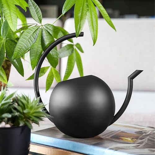 Arrosoir de 1000 ml avec long bec en acier inoxydable Morain pour jardin et fleurs - 8