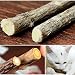 GoEa 5Pcs Cat Cleaning Teeth Pure Natural Catnip Pet Cat Molar Toothpaste Stick