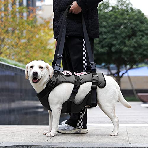 NOYAL-Dog-Lift-Harness-Pet-Support-Rehabilitation-Sling-Lift-Adjustable-Padded-Breathable-Straps-for-Old-Disabled-Joint-Injuries-Arthritis-Loss-of-Stability-Dogs-Black - Cucciolini Doodles   NOYAL-Dog-Lift-Harness-Pet-Support-Rehabilitation-Sling-Lift-Adjustable-Padded-Breathable-Straps-for-Old-Disabled-Joint-Injuries-Arthritis-Loss-of-Stability-Dogs-Black