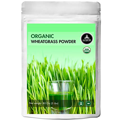 Naturevibe Botanicals Organic Wheatgrass Powder, 5lbs (80 Ounces)