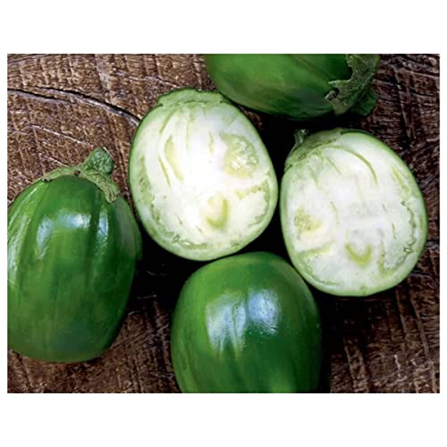 Semente de Jiló Redondo - Embalagem 400mg