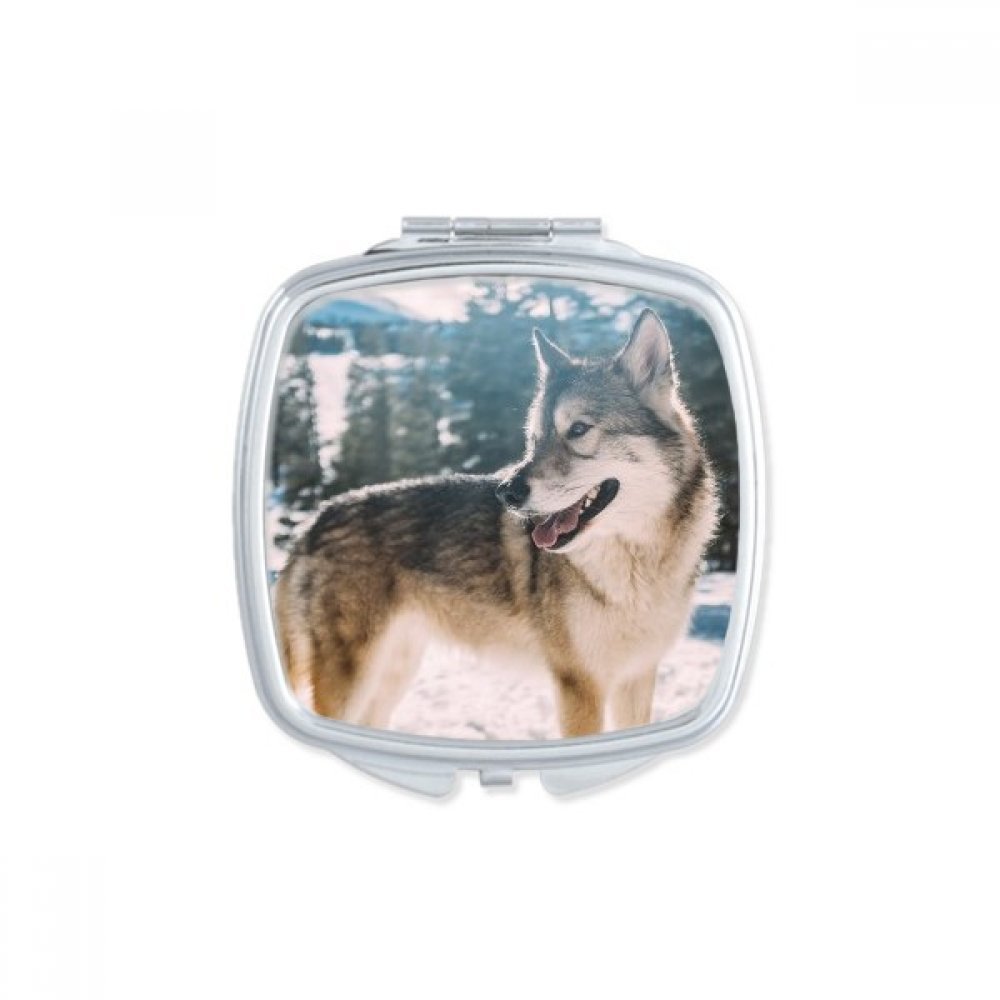 Miroir de maquillage compact portable carré accessoire beauté motif chien multicolore