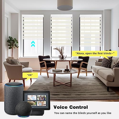 Image of Changshade Smart Zebra Blinds Motorized Shades Remote Control for Indoor Windows, Custom Size Electric Solar Panel Power Automatic Work with Alexa, Google Home, Apple Homekit, Light Filtering, Beige