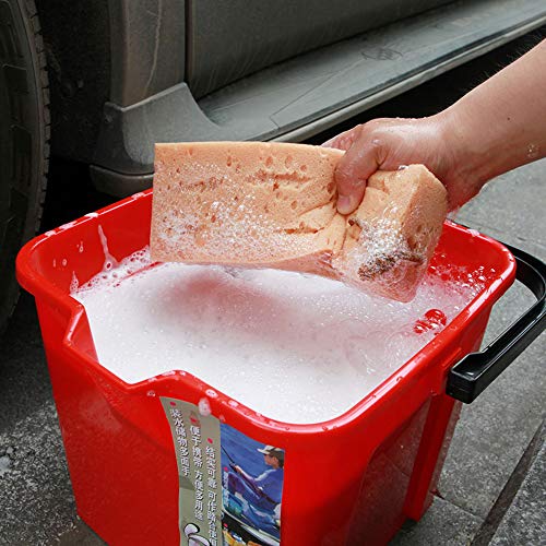 U/K Utile spugna di corallo super assorbente per