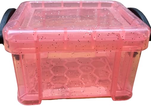 Storage Box with Locking Lid Clear Organizer for Small Stationery Jewelry Sewing Classroom Small Box