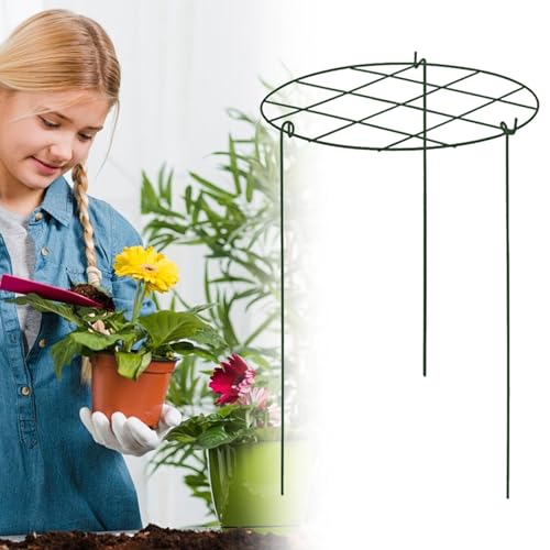 Treillis d'escalade en fer stable pour plantes en V - 4