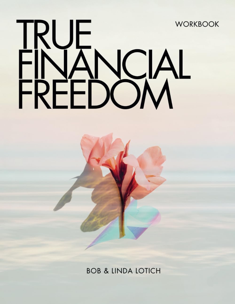 The True Financial Freedom Workbook: 21st century Christian financial curriculum