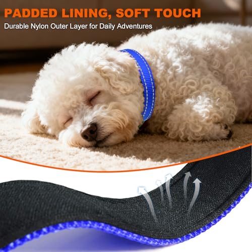 Image of Taglory Reflective Dog Collar for Puppies, Gentle and Safe for Night Walks