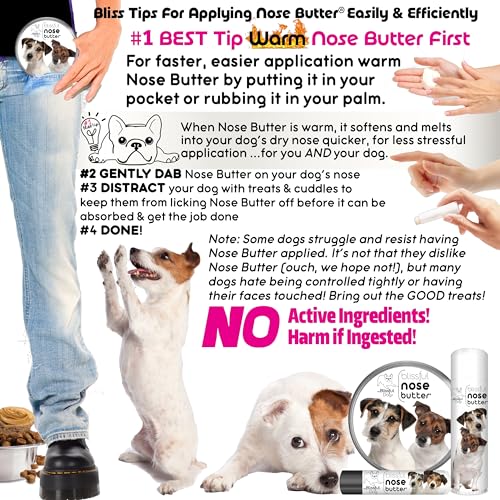 Image of The Blissful Dog Jack Russell Terrier Unscented Nose Butter - Dog Nose Butter, 8 Ounce