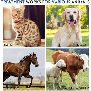 Eye health for dogs cats cattle sheep horse bird 18 oz 35gr 1 pcs tubemetal box  urban country home decor