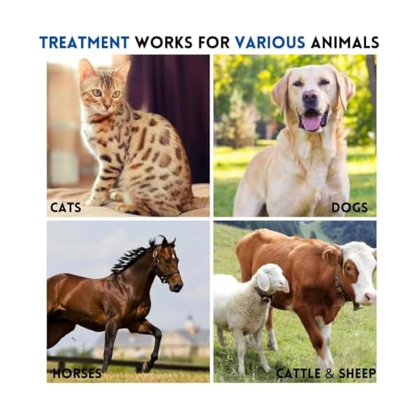 Eye health for dogs cats cattle sheep horse bird 18 oz 35gr 1 pcs tubemetal box  urban country home decor