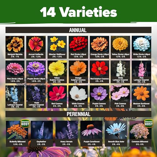 24% Off HOME GROWN Premium Monarch Butterfly Wildflower Seeds Mix - Image 2