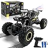 HERMORRYSS Macchina Telecomandata per Bambini, 1:14 2.4 GHz Auto Telecomandata, Macchina Radiocomandata 4x4 di Tutto Terreno con Spray e Luci, Fuoristrada Giocattolo, Regalo per Bambini (Nero)