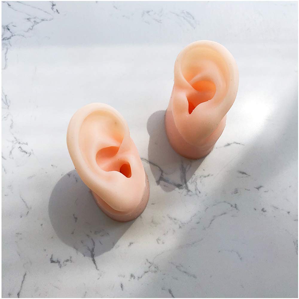 Sjdopulse A Silicone Ear Model For Cupuncture - Rtificial Ear Model With Stand - Soft Silicone Ear Model For Teaching, For Ear Picking Practice,Studs Earring Display Props (A)