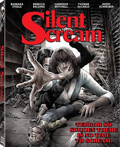 Silent Scream (Blu-ray)