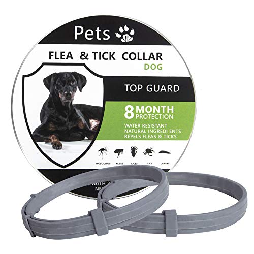 Pets vv Flea Collar for Dogs Large, 8-Month Dog Flea Collars for Large Dogs Effective Repels Fleas and Ticks, 25 Inches Fits Dog