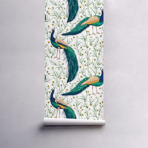 Papier peint oiseaux paon 152x104cm haut de gamme texture latex - 5