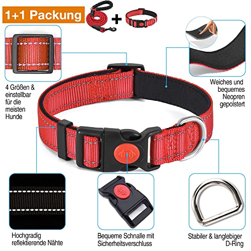haapaw reflektierendes Hundehalsband gepolstert mit weichem Neopren atmungsaktiv einstellbar Nylon Hundehalsbänder für kleine mittlere große Hunde